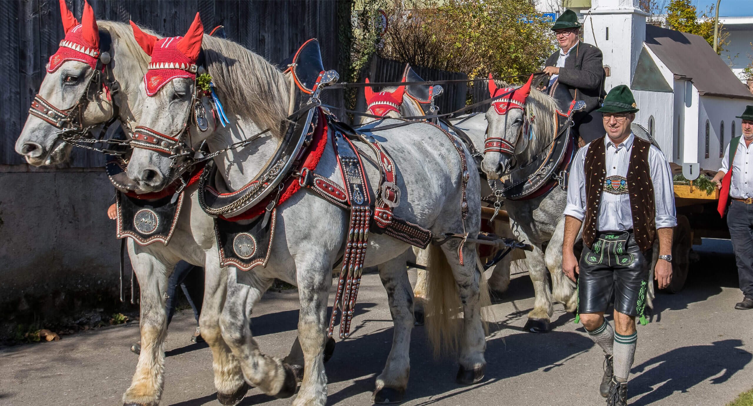 Rothmoser_Leonhardifahrt_2019_gespann_grafing_magazin