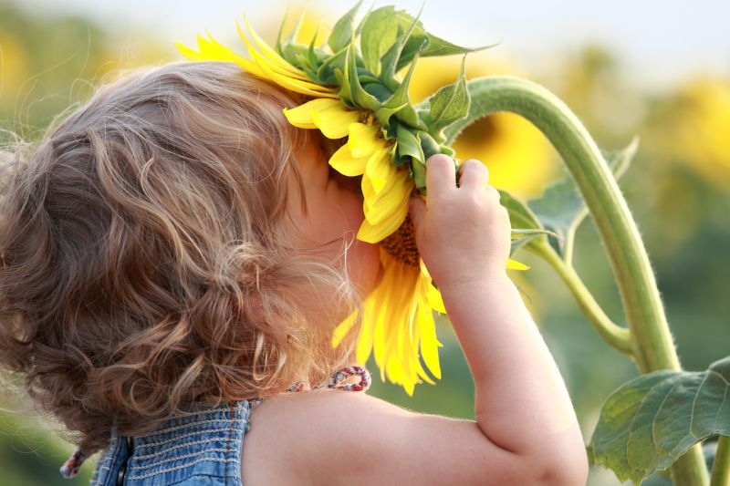 engagement_rothmoser_teaser_nachhaltigkeit